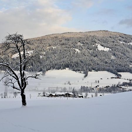 Palfengut Appartement Altenmarkt im Pongau Buitenkant foto