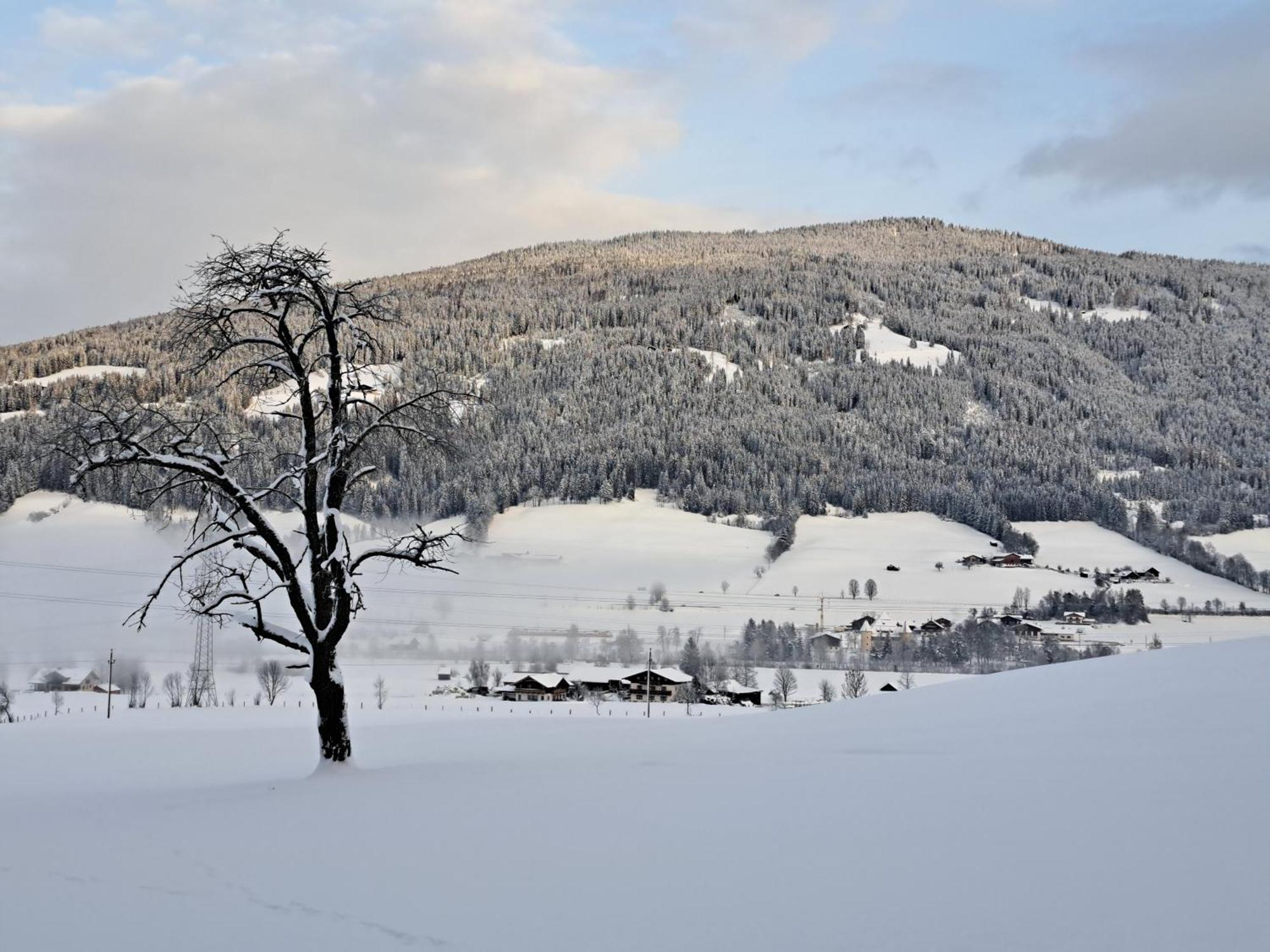 Palfengut Appartement Altenmarkt im Pongau Buitenkant foto