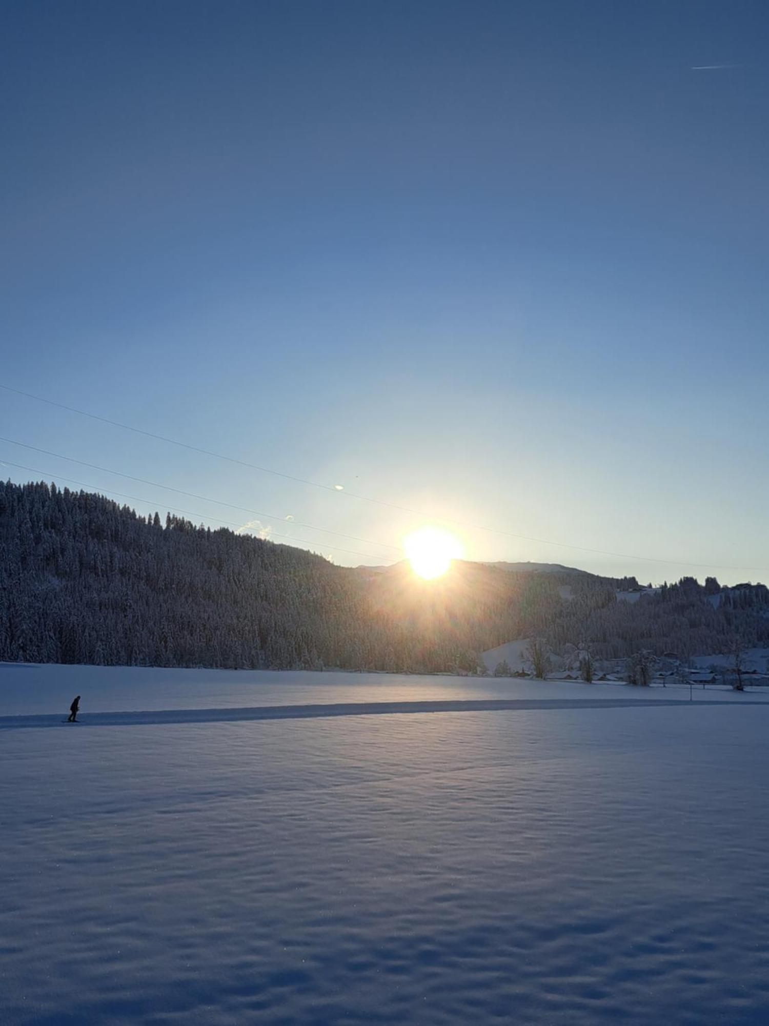 Palfengut Appartement Altenmarkt im Pongau Buitenkant foto