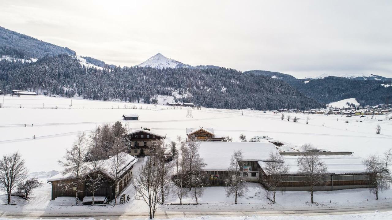 Palfengut Appartement Altenmarkt im Pongau Buitenkant foto